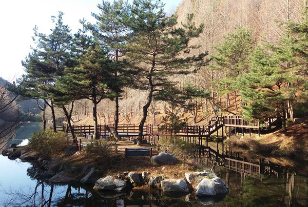 청주 미동산수목원<br>
