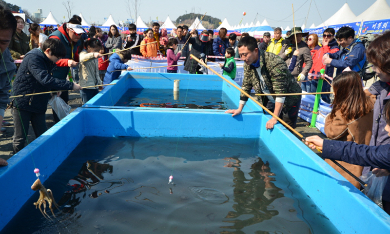 충남 서천 동백꽃 주꾸미 축제<br>
