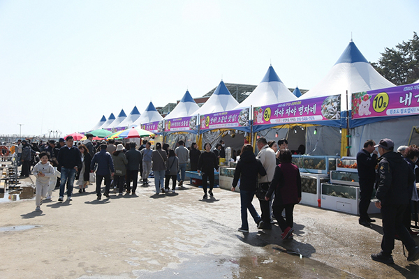 서천 동백꽃 주꾸미 축제장<br>
