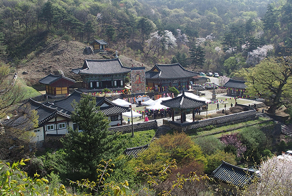 세종시 비암사
