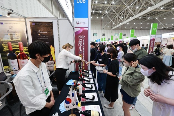 지난해 대전 국제 와인 페스티벌 모습<br>
