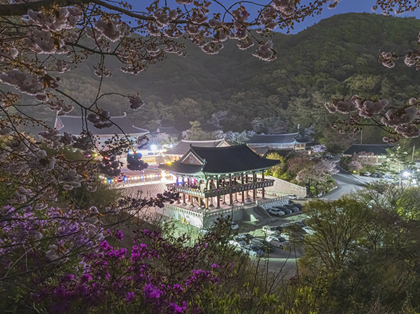 이정희씨 작품 '각원사의 신록예찬'<br>
