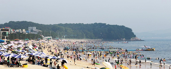 대천해수욕장<br>
