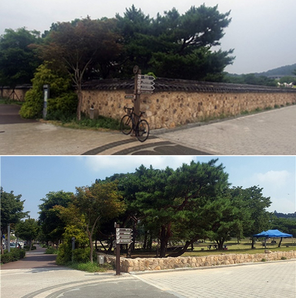 담 정비 전 정림사지(사진 상)와 담 정비 진행 중인 정림사지<br>

