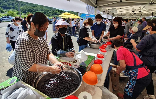 지난해 사현 포도 축제 포도주 만들기 행사<br>

