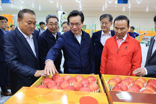 정황근 농림축산식품부 장관이 12일 충청북도 보은군 소재 과수 거점 산지유통센터를 방문하여 추석 성수품 수급 상황을 점검하고 있다. <br>
