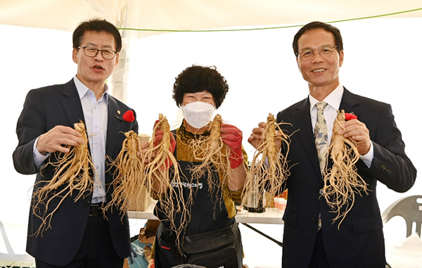 지난해 조병옥 군수(오른쪽)가 음성명작페스티벌 인삼판매장에서 음성명작 인삼을 홍보하는 모습.<br>

