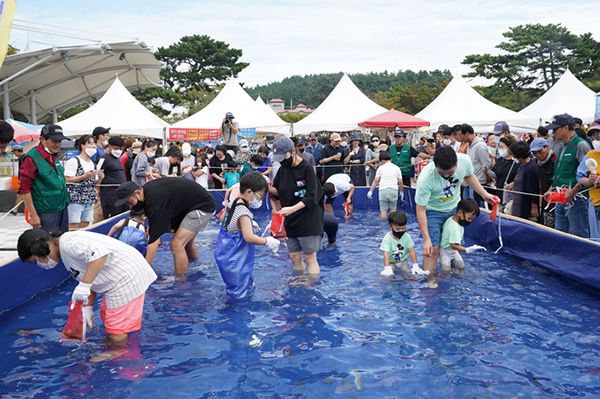 무창포 가을 대하·전어 축제장 맨손고기잡이