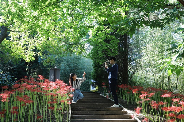 태안 천리포수목원 탐방객들<br>
