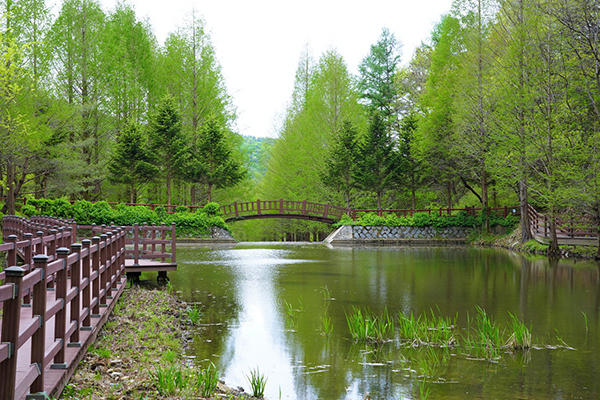 미동산수목원 <br>
