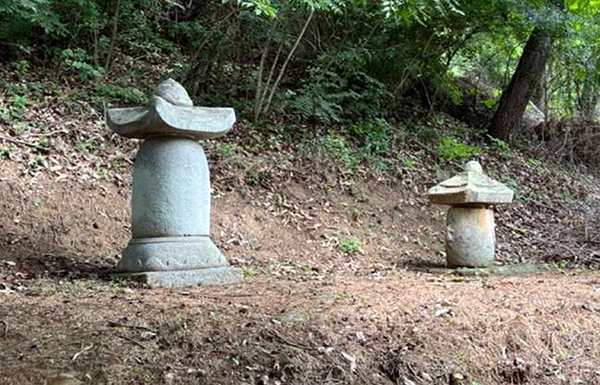 세종시 비암사 청한당탑(왼쪽)과 승탑<br>
