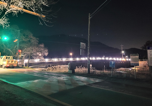 벚꽃길 야간 경관<br>
