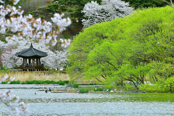 아산 신정호 수변공원<br>
