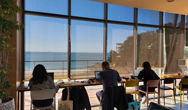 지난해 태안군 베이브리즈카페에서 업무하는 워케이션 참가자들<br>
