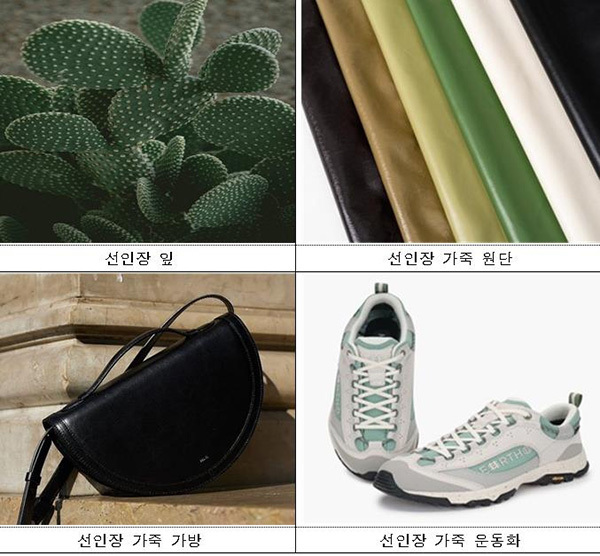 그린컨티뉴의 제품<br>
