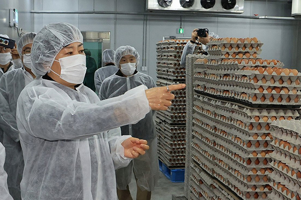 지능형 산란계 농장 방문한 송미령 장관<br>
