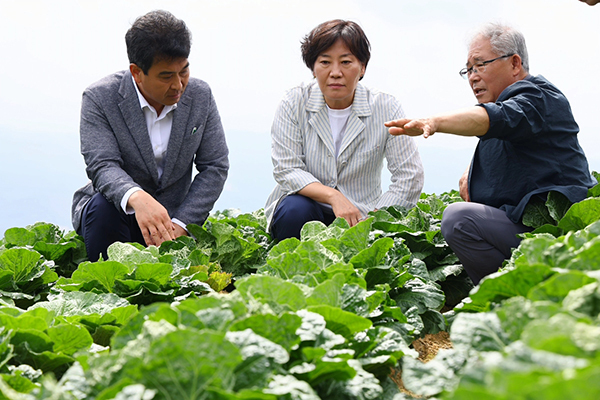 <strong>배추밭 찾은 송미령 농식품부 장관</strong><br>
