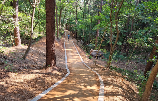 계림공원에 800m 맨발 산책로<br>
