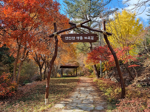 <strong>경기도 가평 연인산 명품 계곡길</strong>
