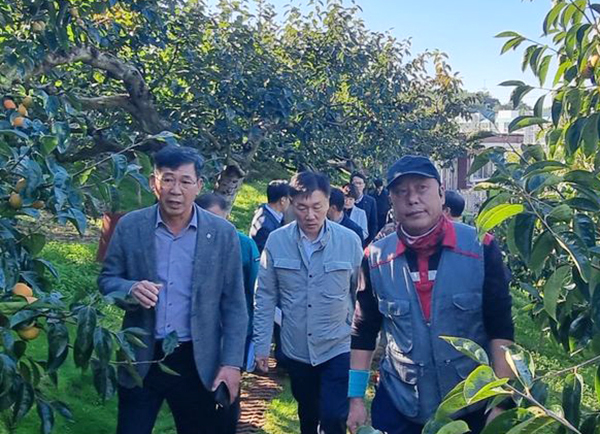 박범수 농림축산식품부 차관은 6일 오후 경남 김해시 진영읍 소재 단감 생산농가와 경남단감원예농협 농산물산지유통센터(APC)를 방문해 단감 수확·출하 등 수급 상황을 점검하고 현장 관계자를 격려했다.<br>
