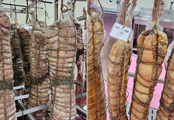 녹차 유산균 처리에 따른 곰팡이 비교. 녹차에서 분리한 G-2 유산균을 적용한 육가공품(오른쪽)과 적용하지 않은 비교군(왼쪽)의 모습. <br>
