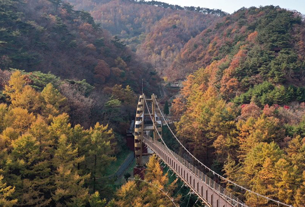 <strong>증평군 좌구산 휴양림 구름다리</strong><br>
