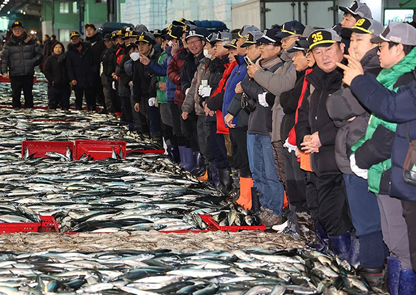 지난 2일 오전 부산 서구 부산공동어시장에서 중도매인들이 힘찬 손짓으로 새해 첫 수산물 경매를 진행하고 있다.<br>

