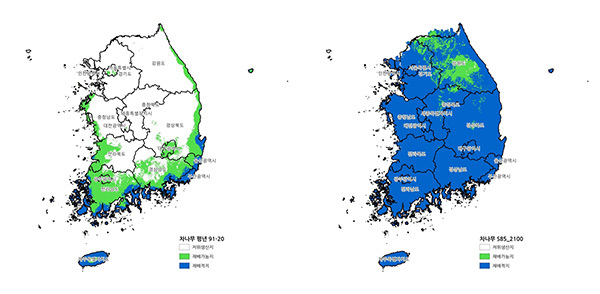 현재 녹차 재배 가능 지역(왼쪽)과 2090년대 가능 지역<br>
