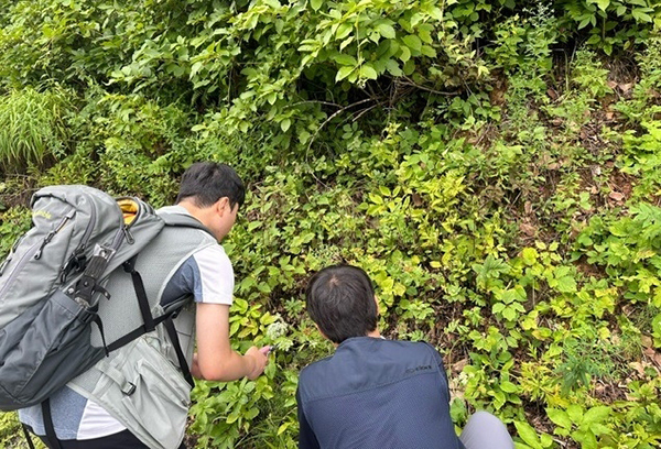 백두대간서 자생식물 종자 수집하는 백두대간식물원 직원<br>
