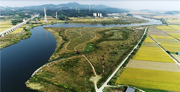 곡교천 하류 물억새 군락지 전경<br>
