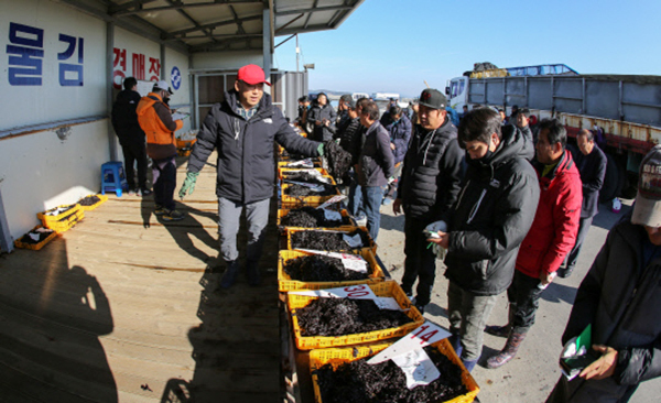 충남 서천군 물김 경매장<br>
