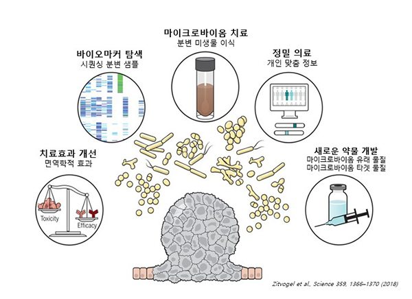 마이크로바이옴 활용분야<br>
