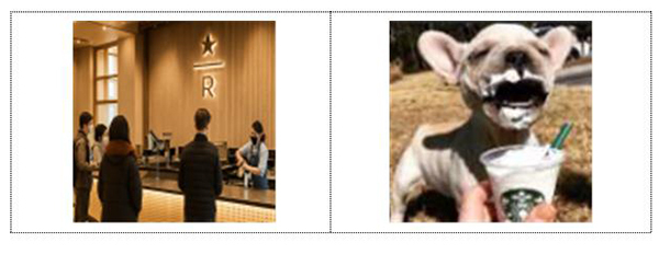반려동물 사료 즉석조리·판매 서비스 과제<br>
