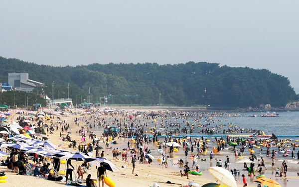 대천해수욕장<br>
