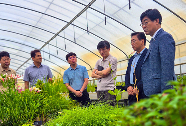 심상택 한국수목원정원관리원 이사장(오른쪽)이 25일 국립세종수목원 묘포장을 방문, 전국 민간정원 42개소에 보급될 국산 정원식물을 살펴보고 있다.<br>
