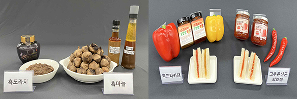 흑마늘·흑도라지청 기술 활용 시제품(사진 좌)과 풋내 감소 파프리카잼 및 고추잼 기술 활용 시제품<br>
