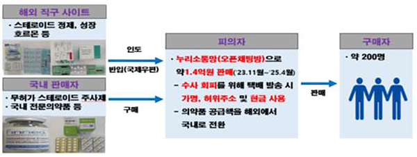 불법 의약품 수입·유통 모식도<br>
