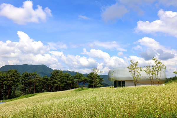 시드볼트 전경<br>
