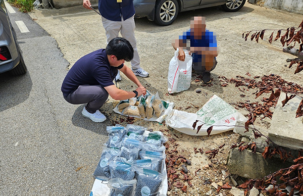 국립농산물품질관리원 충남지원 단속현장<br>
