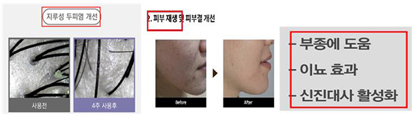 <strong>표시·광고 부당 광고 위반 사례</strong><br>
