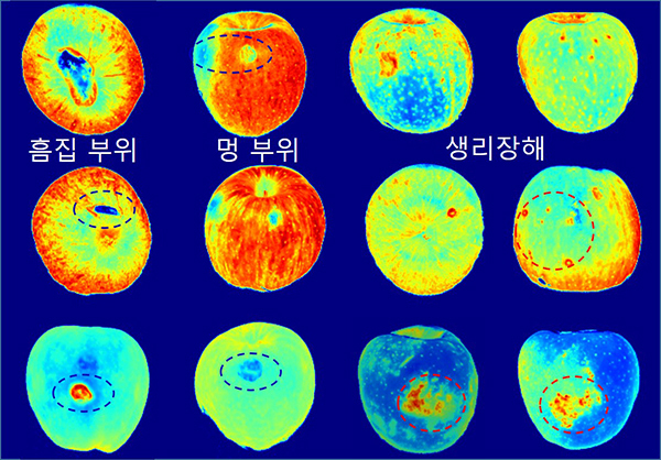 초분광 분석 자료<br>
