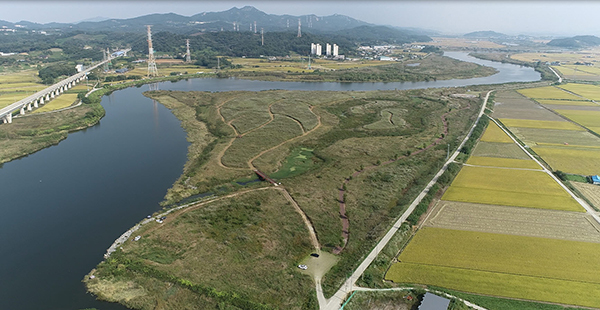 곡교천 물억새 단지 모습<br>
