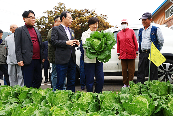 송미령 농림축산식품부 장관이 26일 김장(가을)배추 주산지인 충북 괴산군에 위치한 배추 밭을 찾아 배추 생육 상황 관련 대화를 나누고 있다.<br>
 