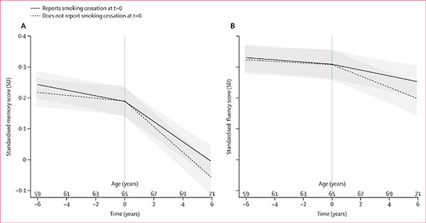 금연 전후 12년간의 기억력과 언어 유창성 변화 추이(n=9436).연구 시작 시점에 언어 유창성과 기억력 등 인지기능이 동일한 금연 그룹과 계속 흡연 그룹을 비교한 결과 금연 직전 6년 동안 두 그룹의 인지기능은 거의 같은 속도로 감소했으나 금연 이후 6년 동안은 금연 그룹이 계속 흡연 그룹보다 언어 유창성 저하 속도는 약 50%, 기억력 저하 속도는 약 20% 느려진 것으로 분석됐다.<br>
 