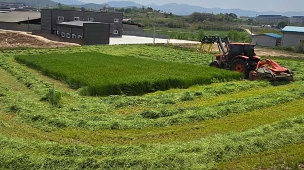 청주시 조사료 생산 단지<br>
 