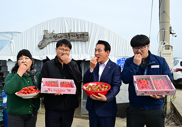 백성현 논산시장(우측 두번째)이 첫 수확된 조이베리 딸기를 시식하고 있다.<br>
 