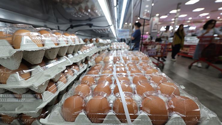 산란계협회 달걀 가격 담합 의혹, 공정위 심판대 올라