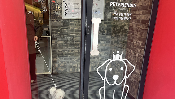 '펫 동반 허용' 보름…동네카페는 '노펫존'-대형매장은 '북적'