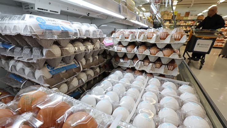 '계란 10개 4천원'…닭·돼지고기·한우까지 축산물값 '뜀박질'